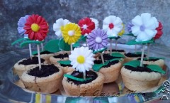 Dolce giardino